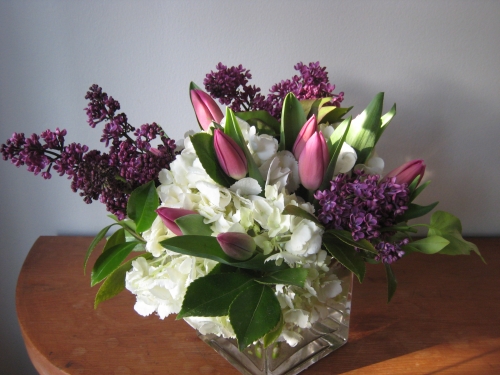 lilac-tulip-hydrangea heaven