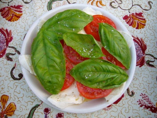 tomato, basil, and mozzarella salad